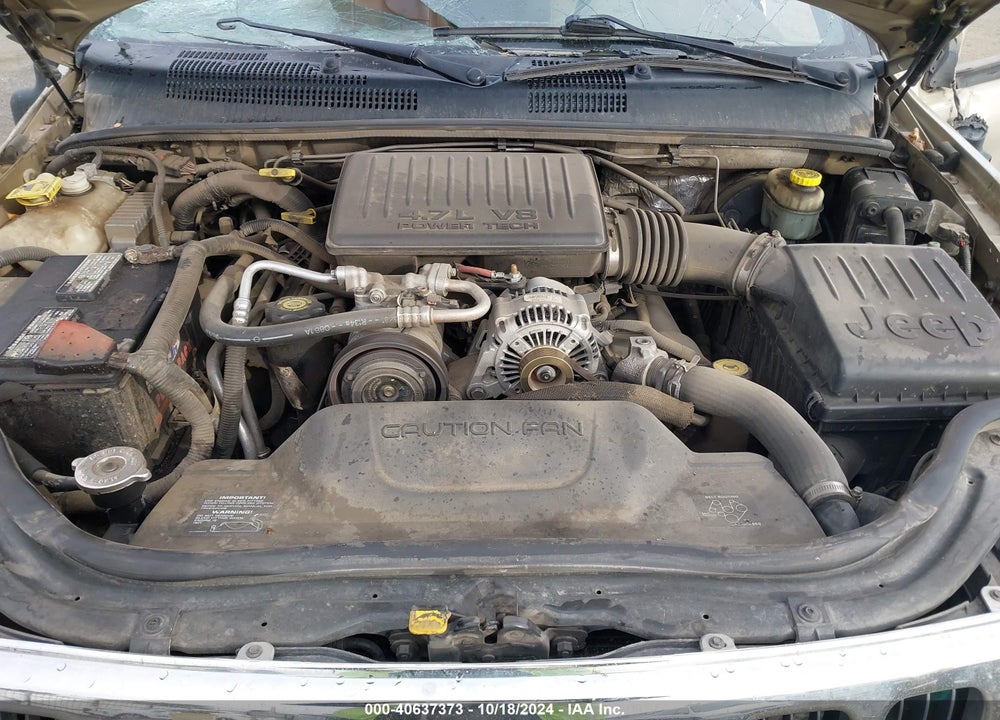 2001 JEEP GRAND CHEROKEE LAREDO VIN: 1J4GW48N61C738528