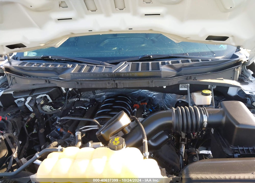 2021 FORD F-150 XL VIN: 1FTMF1C54MKE21999