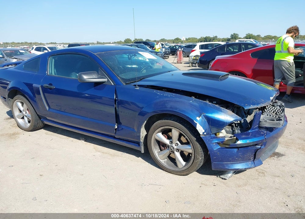 2007 FORD MUSTANG GT DELUXE/GT PREMIUM VIN: 1ZVHT82H275224831