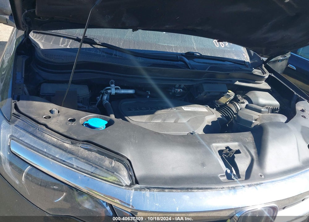 2019 HONDA PILOT EX-L VIN: 5FNYF6H56KB063998