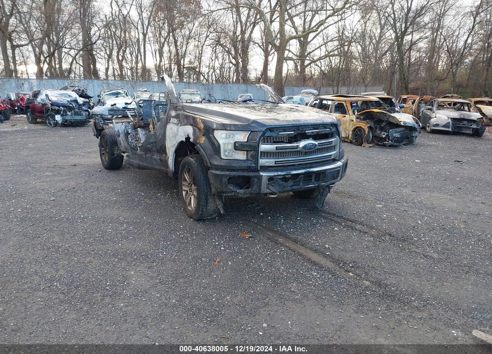 2016 FORD F-150 PLATINUM VIN: 1FTEW1EG7GFB18442