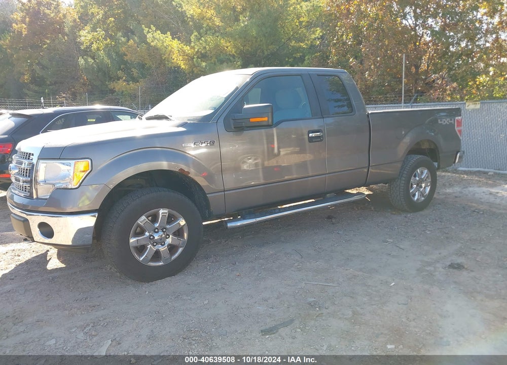 2013 FORD F-150 XLT VIN: 1FTFX1EF3DFC80668
