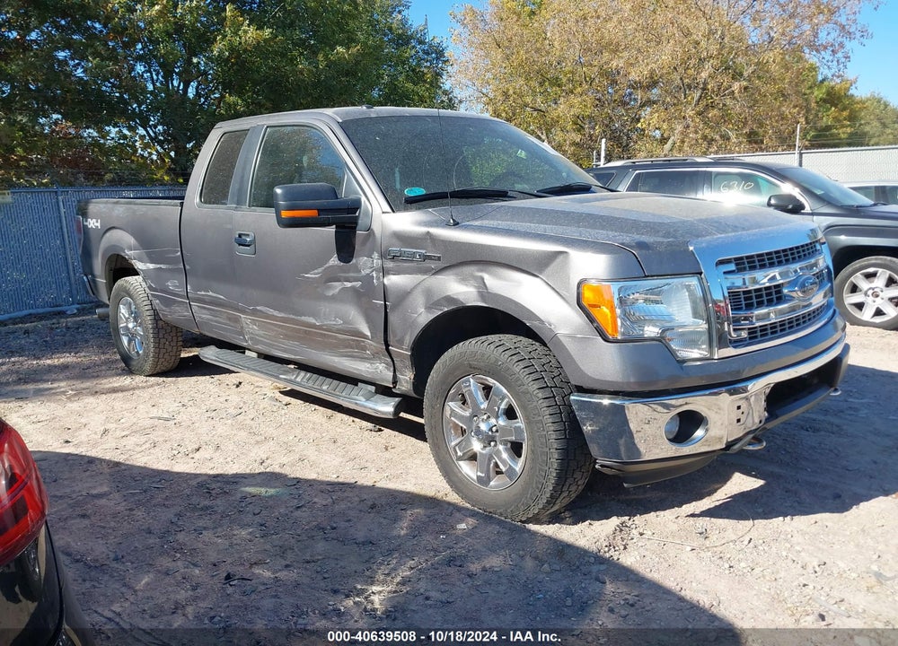 2013 FORD F-150 XLT VIN: 1FTFX1EF3DFC80668