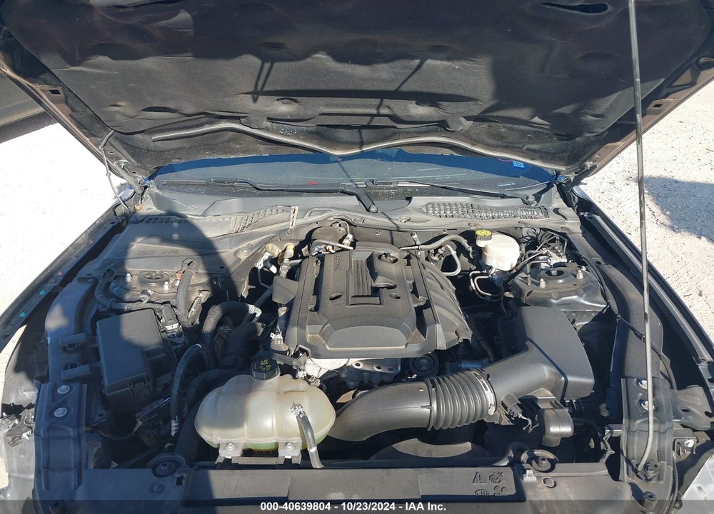 2020 FORD MUSTANG ECOBOOST FASTBACK VIN: 1FA6P8TH9L5154581