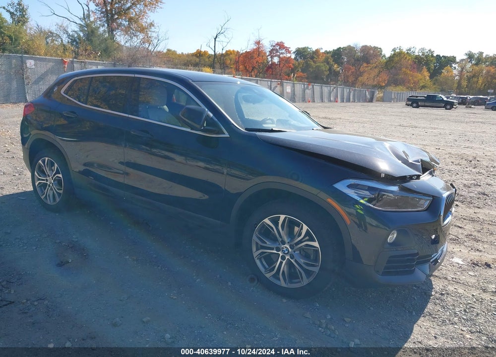 2019 BMW X2 XDRIVE28I VIN: WBXYJ5C50K5N11723