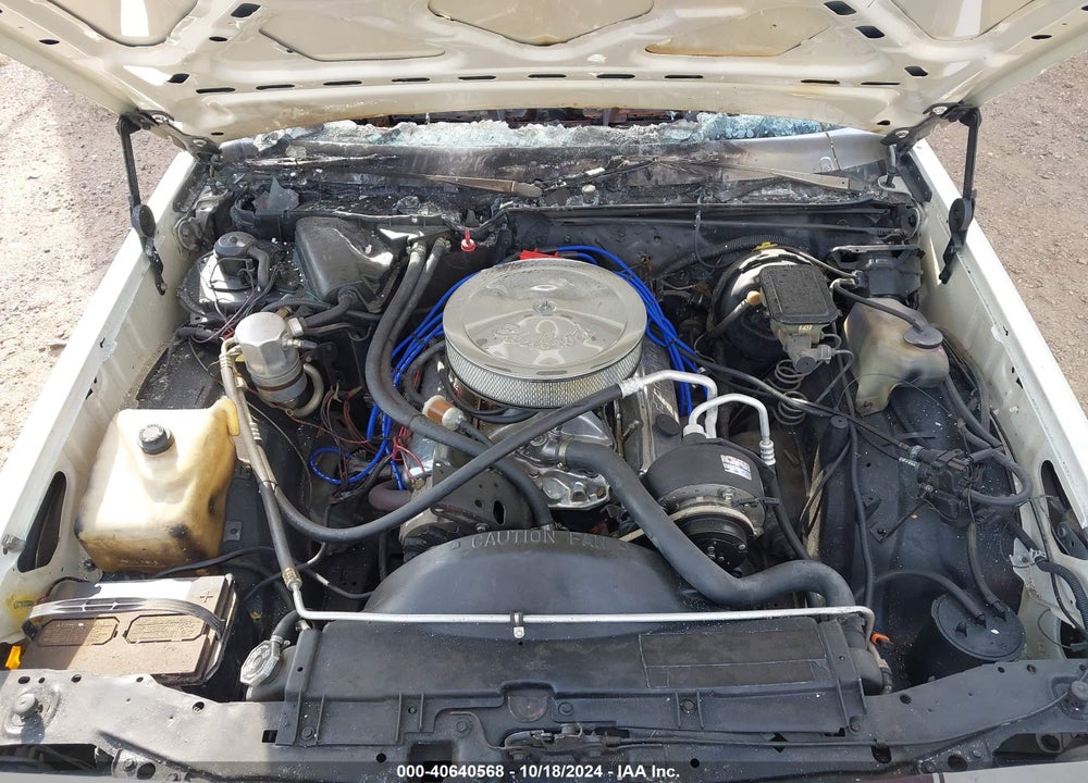 1982 CHEVROLET EL CAMINO VIN: 1GCCW80K0CR119095