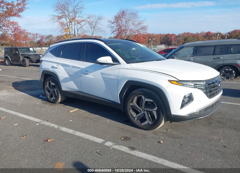 2024 HYUNDAI TUCSON LIMITED VIN: 5NMJE3DE3RH340771