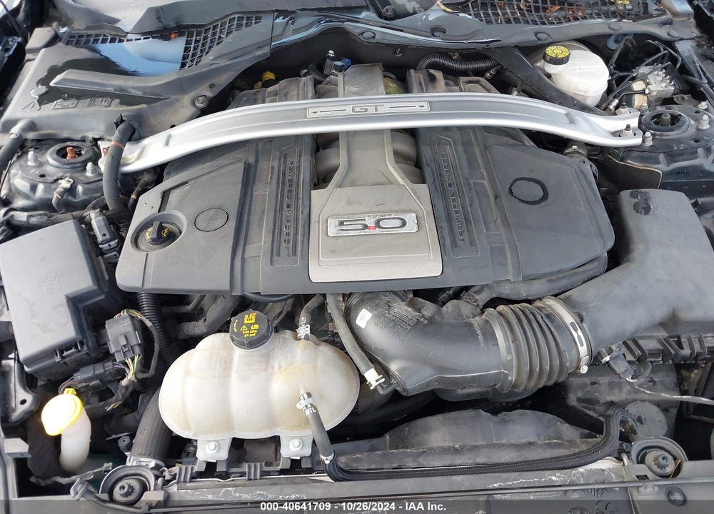 2019 FORD MUSTANG GT PREMIUM VIN: 1FATP8FF6K5109173