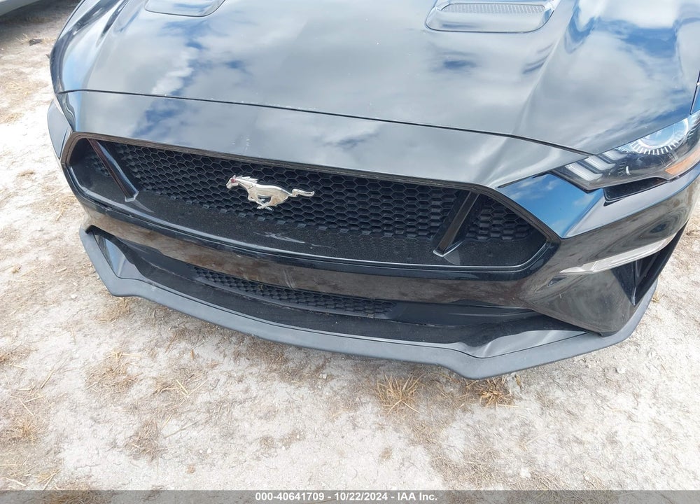 2019 FORD MUSTANG GT PREMIUM VIN: 1FATP8FF6K5109173