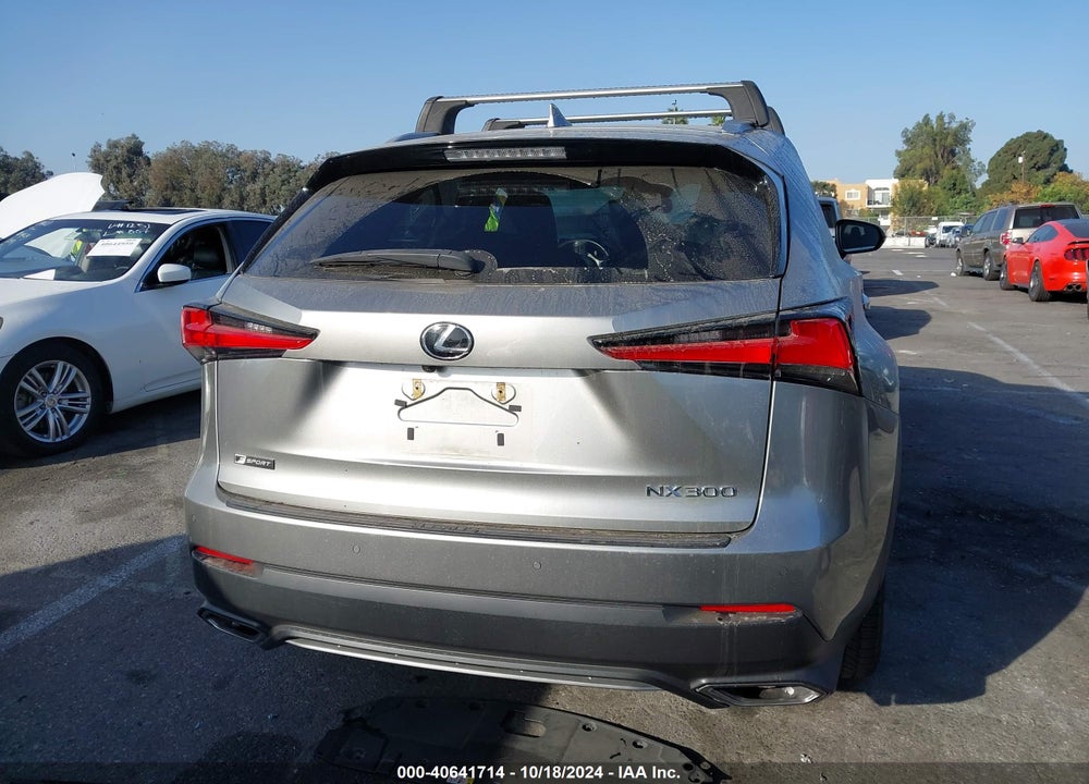 2019 LEXUS NX 300 F-SPORT VIN: JTJYARBZ0K2141557