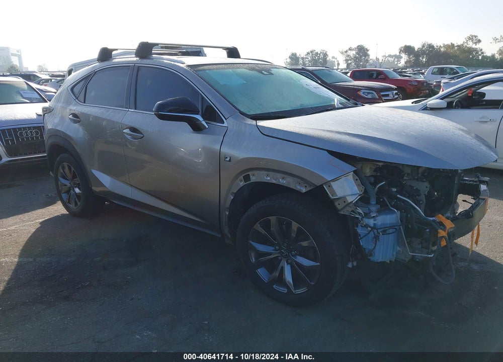 2019 LEXUS NX 300 F-SPORT VIN: JTJYARBZ0K2141557