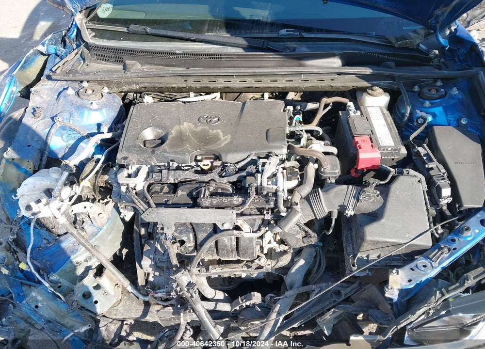 2019 TOYOTA CAMRY VIN: 4T1B11HK8KU237456