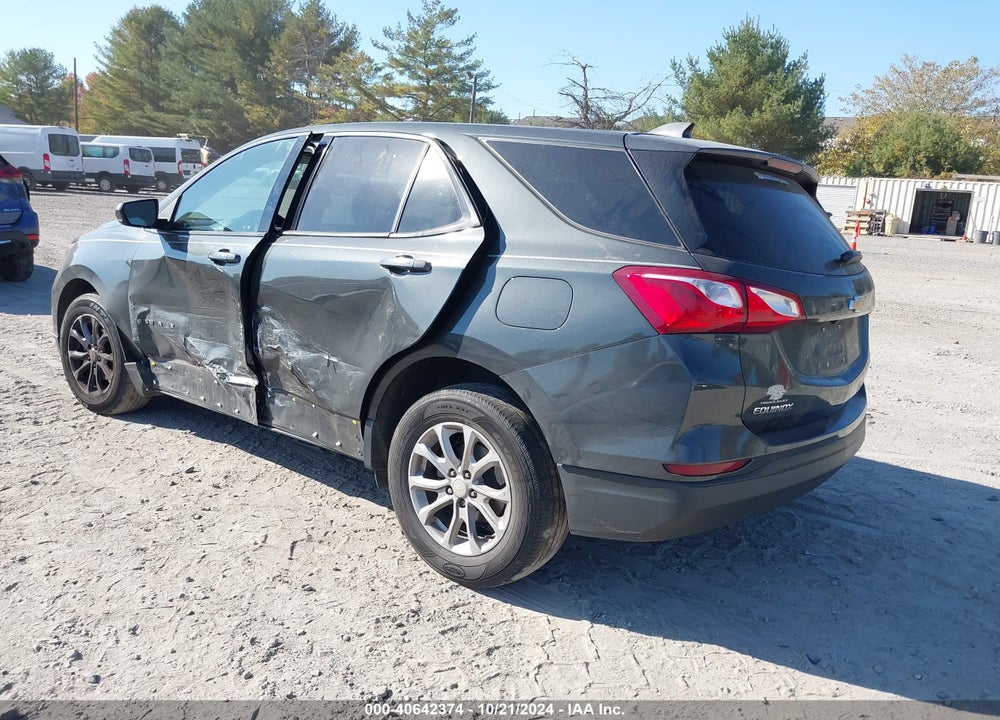 2019 CHEVROLET EQUINOX LS VIN: 3GNAXSEV3KS592920