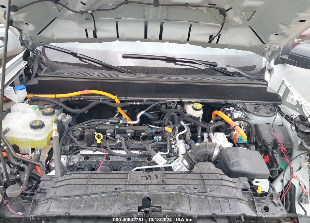 2024 FORD MAVERICK XLT VIN: 3FTTW8H3XRRA66626
