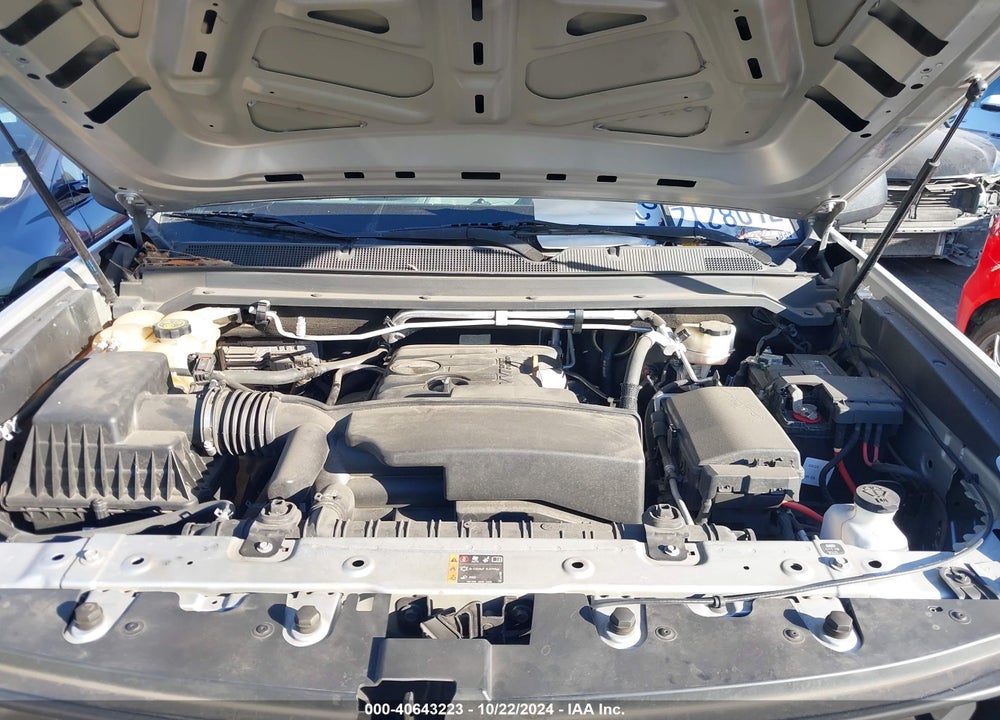 2020 CHEVROLET COLORADO 2WD LONG BOX WT VIN: 1GCHSBEA1L1202838