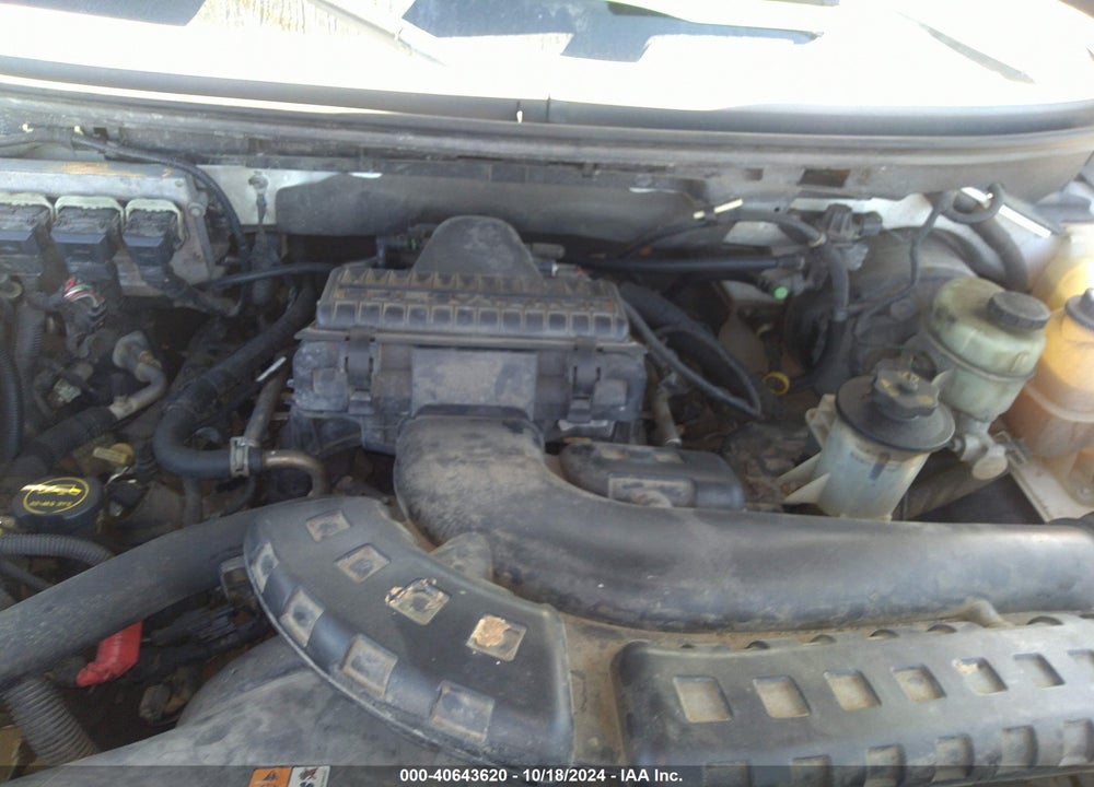 2006 FORD F-150 FX4/LARIAT/XL/XLT VIN: 1FTPX14576NA27066