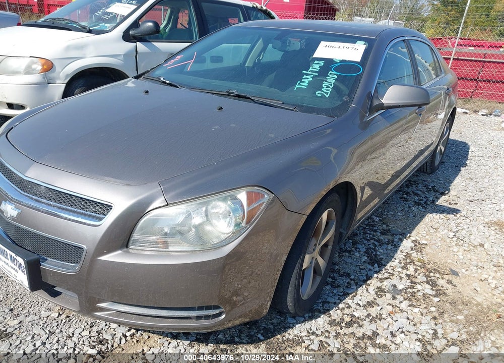2011 CHEVROLET MALIBU 1LT VIN: 1G1ZC5E14BF202667
