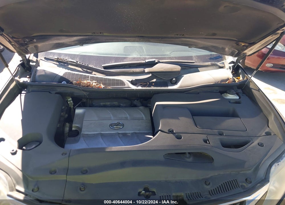 2010 LEXUS RX 350 VIN: 2T2ZK1BA1AC021116