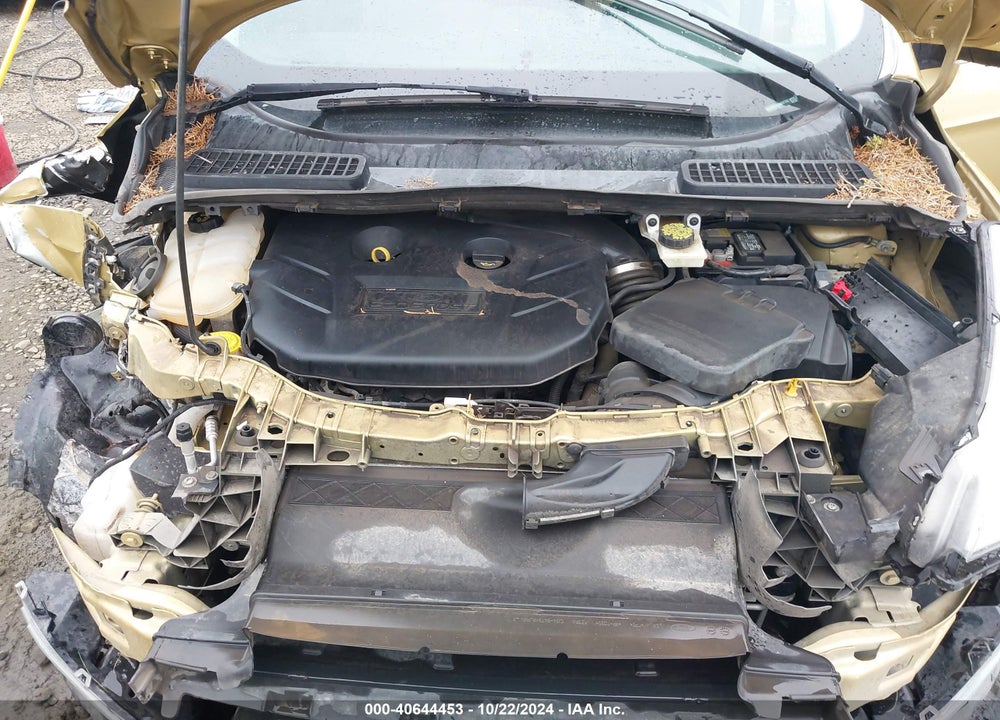 2014 FORD ESCAPE SE VIN: 1FMCU9G94EUD37762