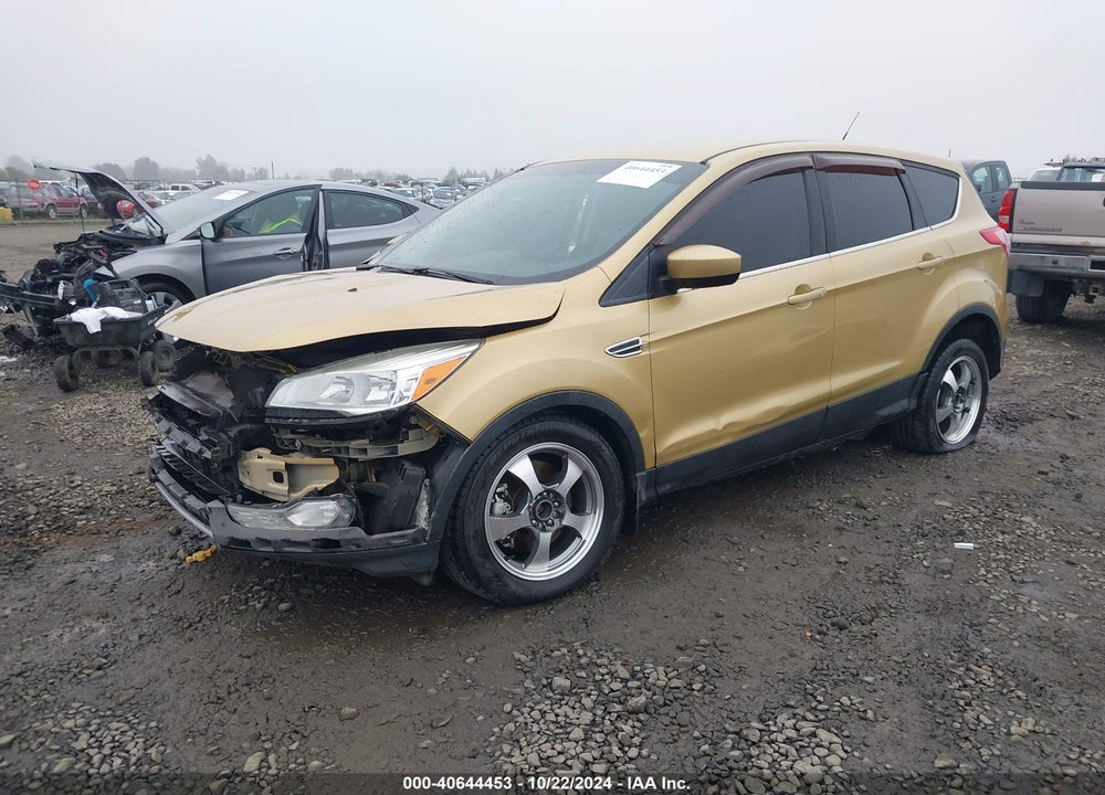2014 FORD ESCAPE SE VIN: 1FMCU9G94EUD37762