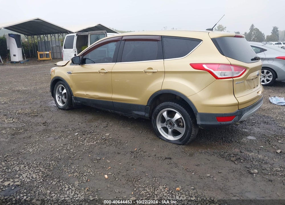 2014 FORD ESCAPE SE VIN: 1FMCU9G94EUD37762