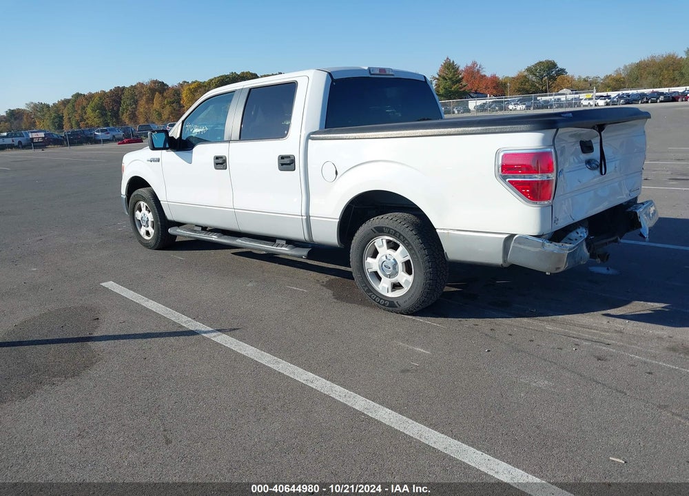 2014 FORD F-150 XLT VIN: 1FTEW1CM7EFA09968