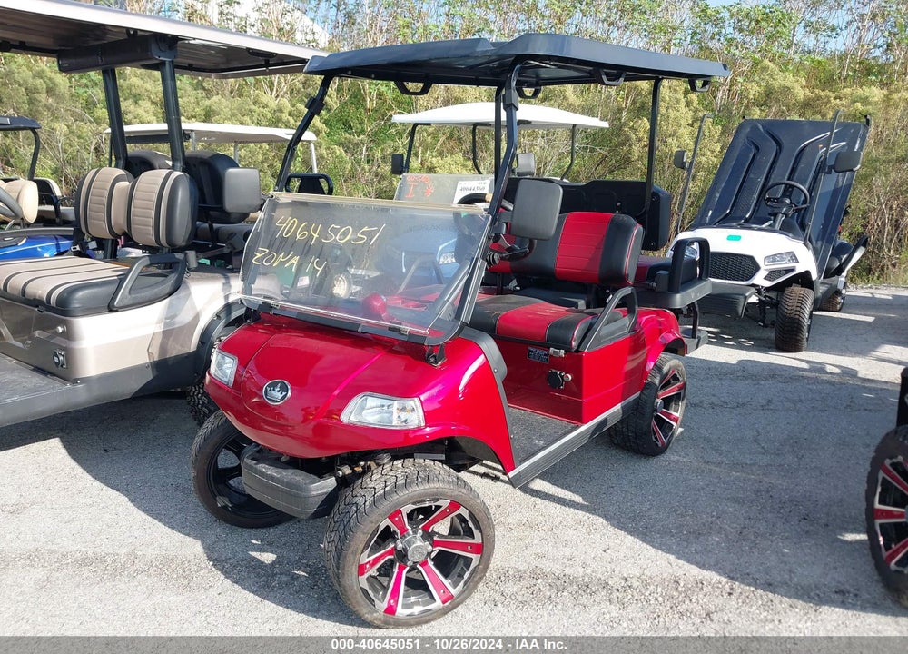 2021 GOLF CART OTHER VIN: 202189673