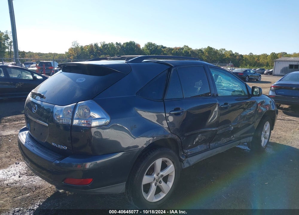 2006 LEXUS RX 330 VIN: 2T2HA31U46C103631