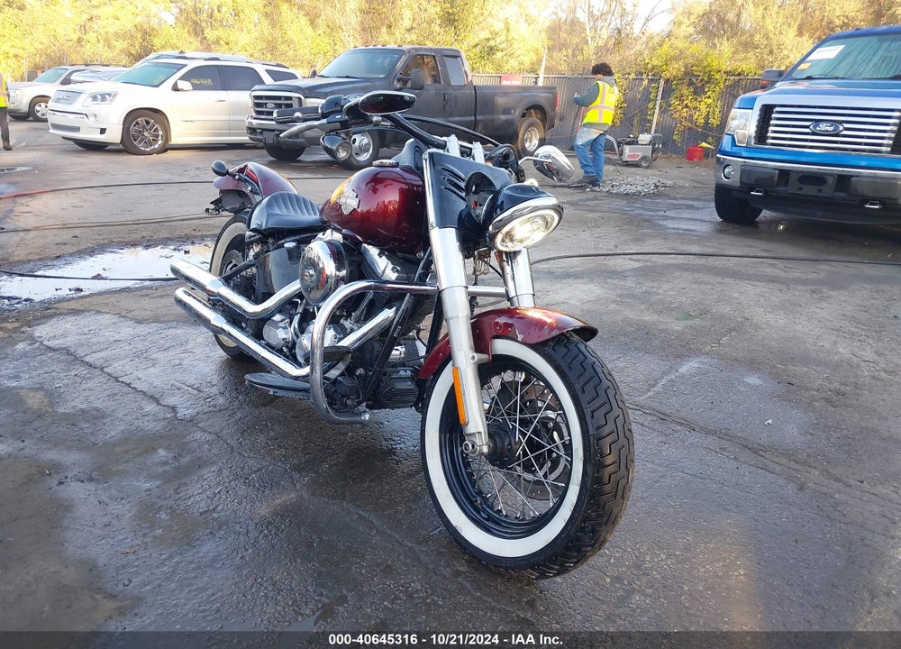 2014 HARLEY-DAVIDSON FLS SOFTAIL SLIM VIN: 1HD1JRV12EB030313