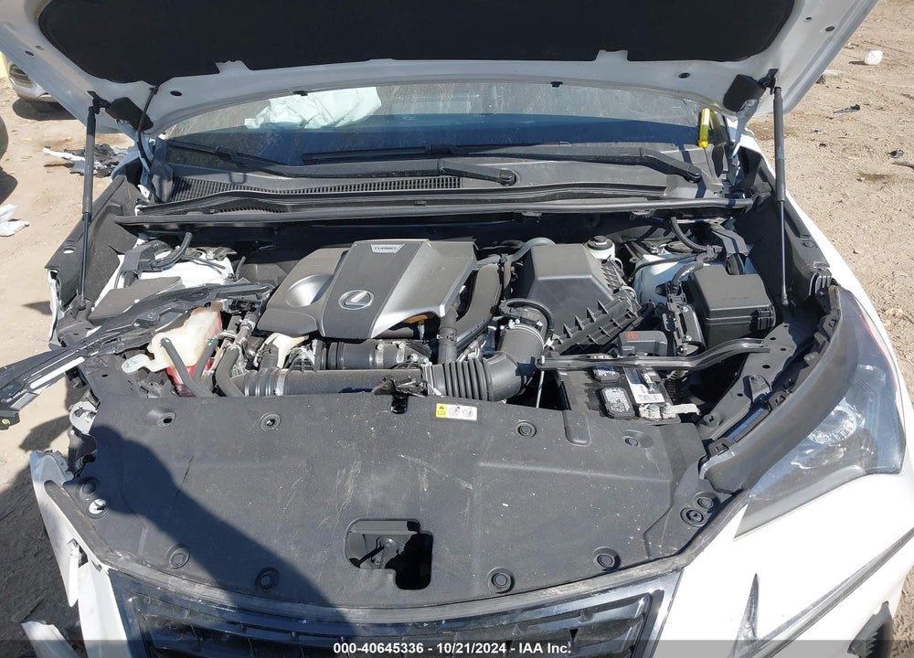 2020 LEXUS NX 300 VIN: JTJGARBZ6L2168372