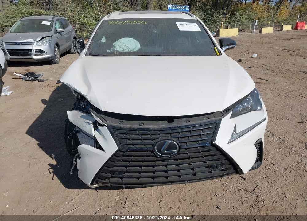 2020 LEXUS NX 300 VIN: JTJGARBZ6L2168372