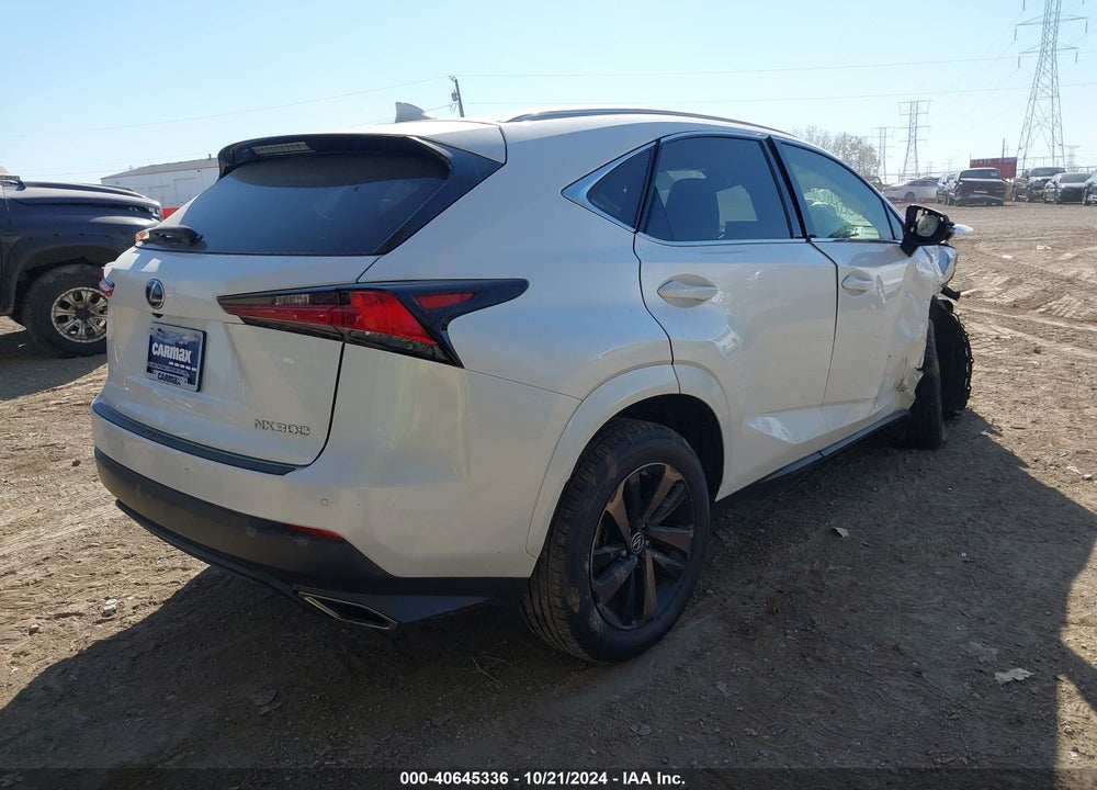 2020 LEXUS NX 300 VIN: JTJGARBZ6L2168372