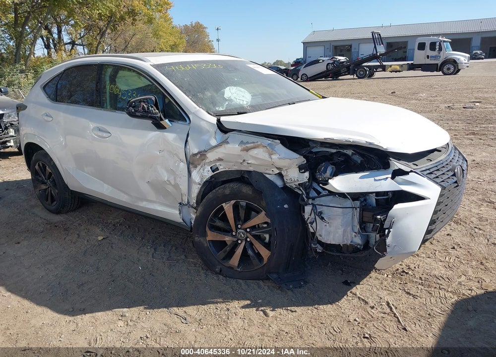 2020 LEXUS NX 300 VIN: JTJGARBZ6L2168372
