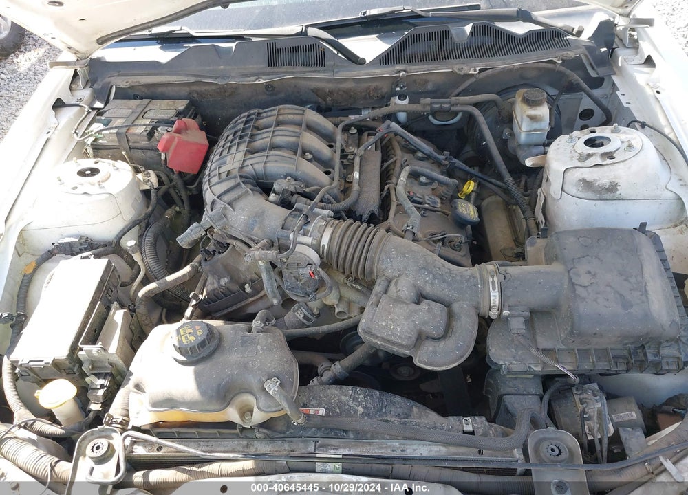 2011 FORD MUSTANG V6 PREMIUM VIN: 1ZVBP8AM7B5124273