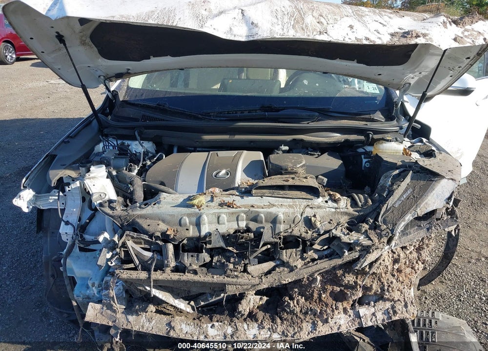 2019 LEXUS RX 350 VIN: JTJBZMCA1K2042000