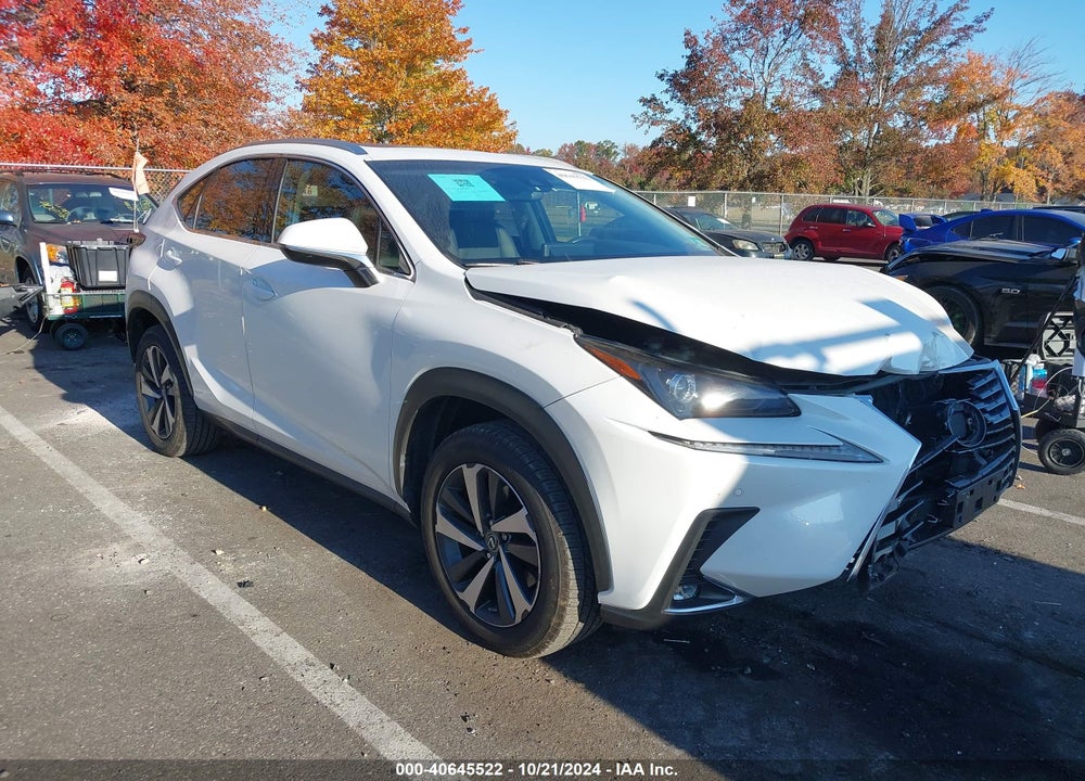 2019 LEXUS NX 300 VIN: JTJBARBZ5K2194227