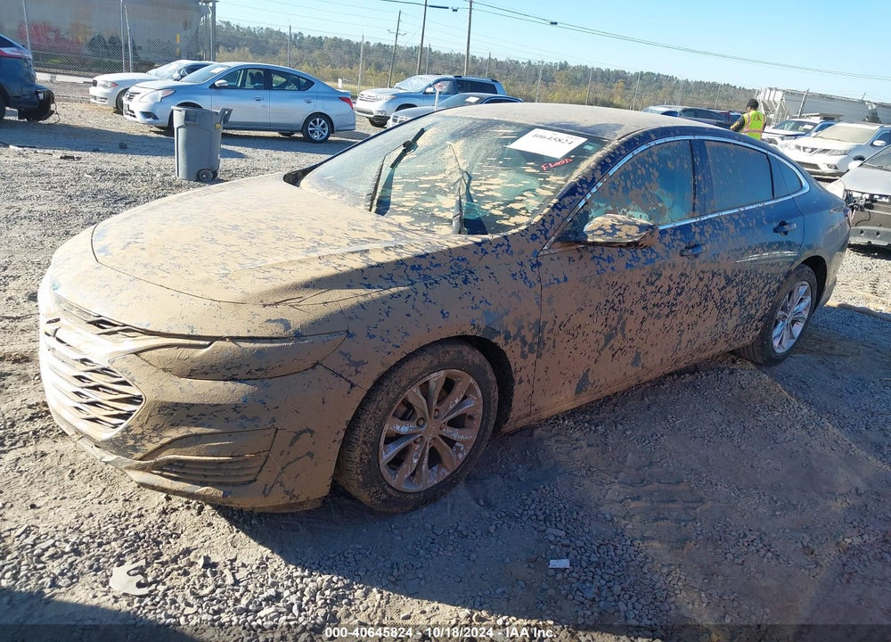 2019 CHEVROLET MALIBU LT VIN: 1G1ZD5ST4KF151500