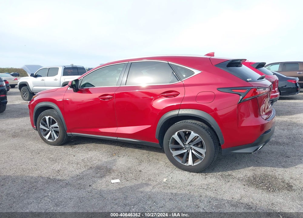 2020 LEXUS NX 300 VIN: JTJGARBZ8L5002756