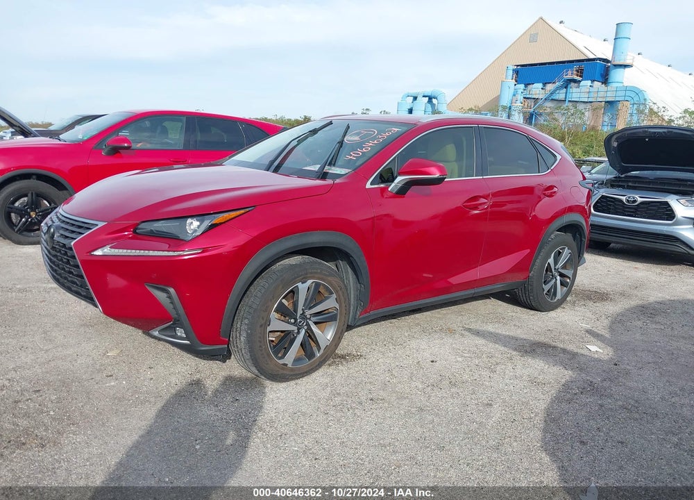 2020 LEXUS NX 300 VIN: JTJGARBZ8L5002756