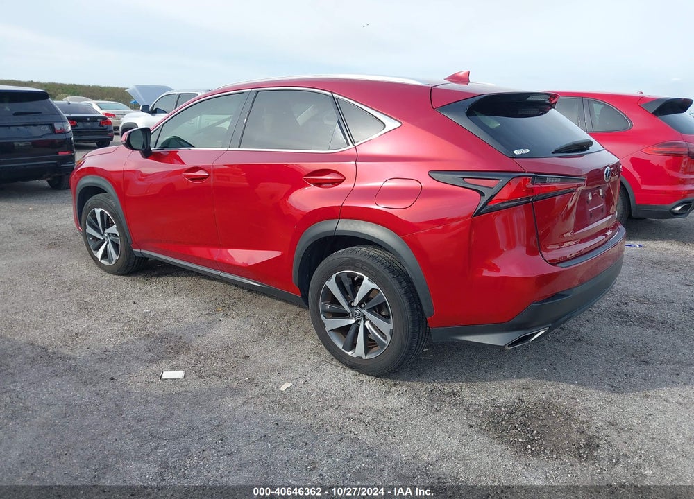 2020 LEXUS NX 300 VIN: JTJGARBZ8L5002756