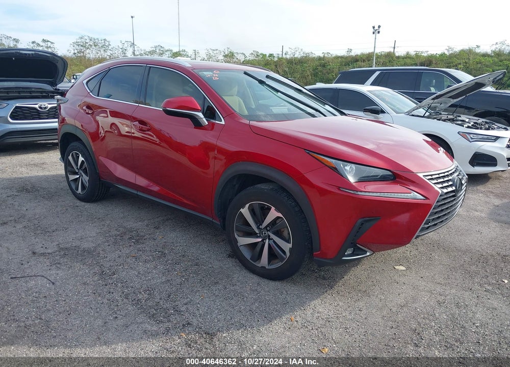 2020 LEXUS NX 300 VIN: JTJGARBZ8L5002756