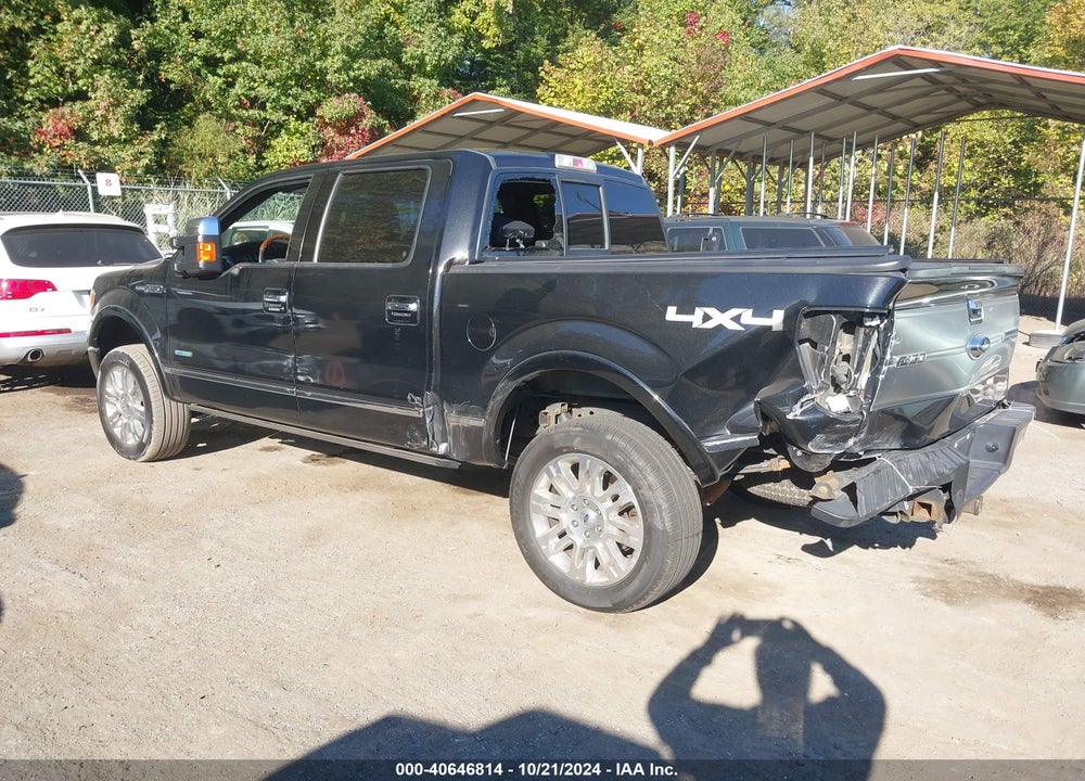 2013 FORD F-150 PLATINUM VIN: 1FTFW1ET2DFD77711