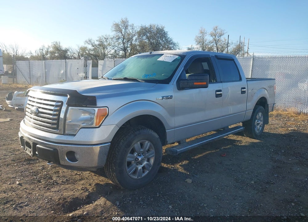 2011 FORD F-150 XLT VIN: 1FTFW1EF3BKD75559