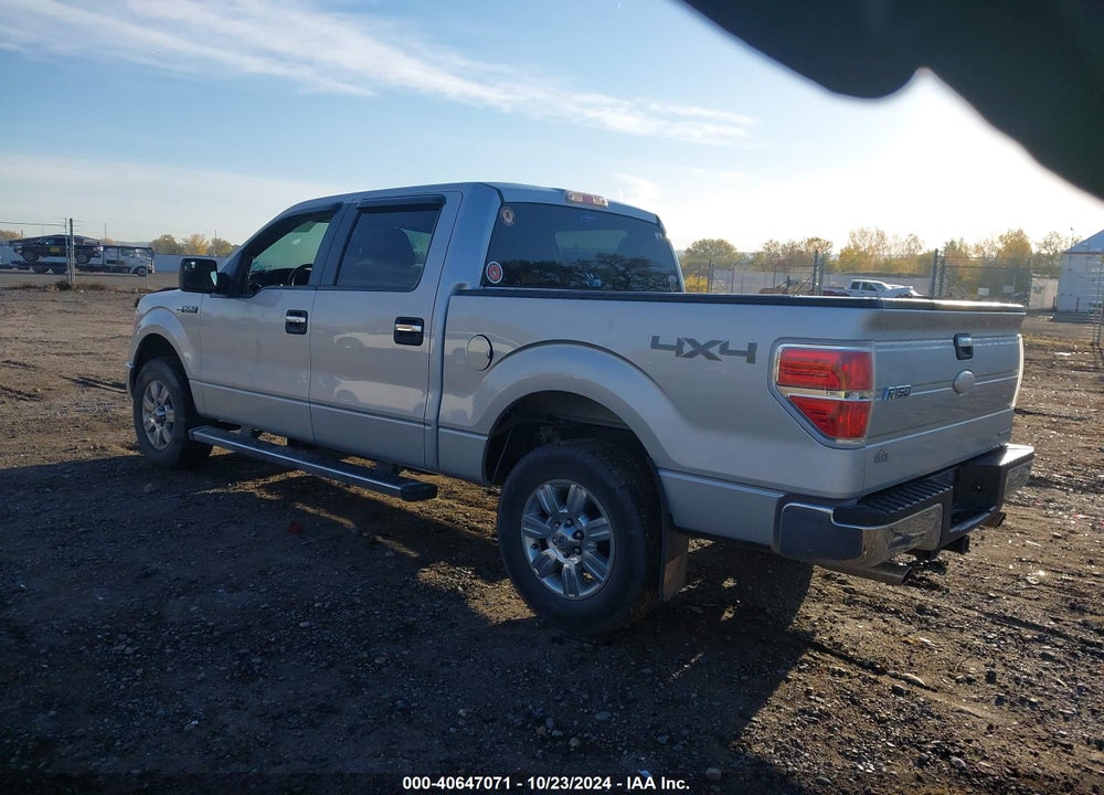 2011 FORD F-150 XLT VIN: 1FTFW1EF3BKD75559
