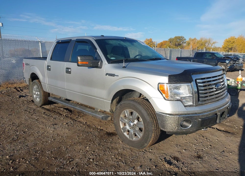 2011 FORD F-150 XLT VIN: 1FTFW1EF3BKD75559