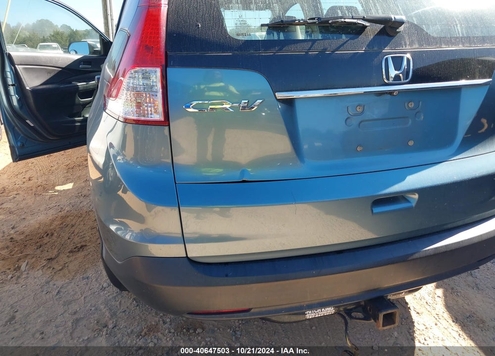 2013 HONDA CR-V LX VIN: 5J6RM3H30DL042419