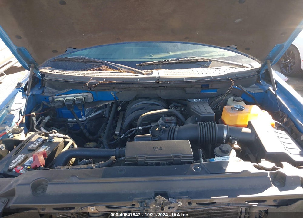 2009 FORD F-150 XL/XLT VIN: 1FTRW12899FA07683