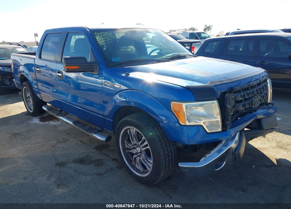 2009 FORD F-150 XL/XLT VIN: 1FTRW12899FA07683
