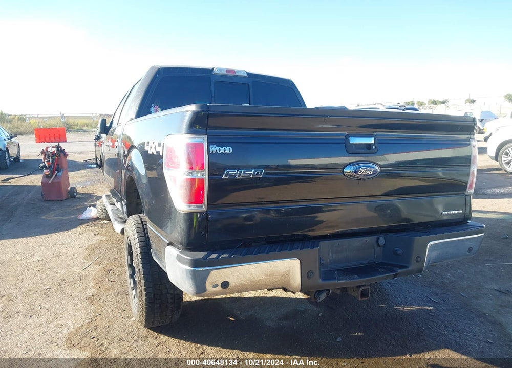 2013 FORD F-150 XLT VIN: 1FTFW1EF8DKE43924
