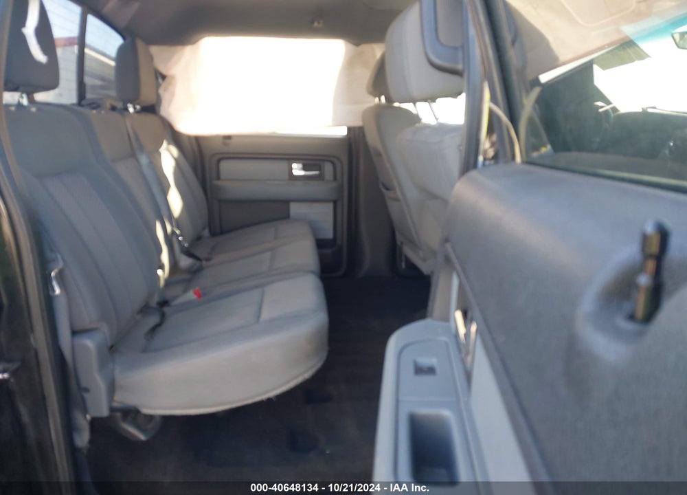 2013 FORD F-150 XLT VIN: 1FTFW1EF8DKE43924
